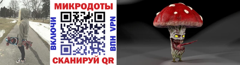 ссылка на мегу зеркало  Купино  Псилоцибиновые грибы Psilocybine cubensis  сколько стоит 